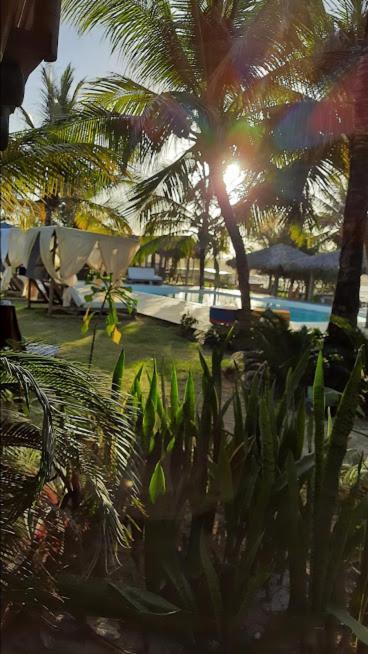 Hotel Boutique Zebra Beach Uruau Ngoại thất bức ảnh