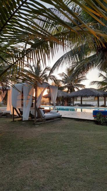 Hotel Boutique Zebra Beach Uruau Ngoại thất bức ảnh