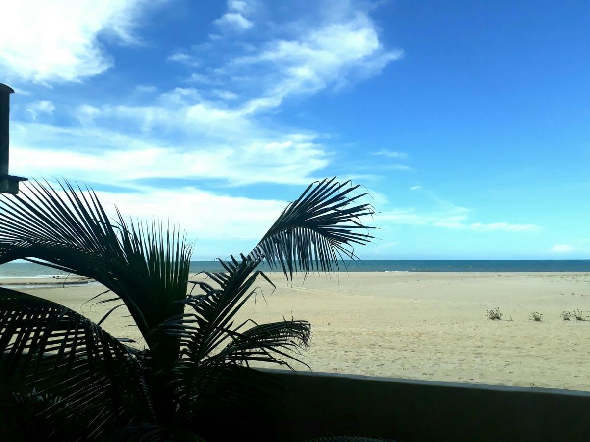 Hotel Boutique Zebra Beach Uruau Ngoại thất bức ảnh